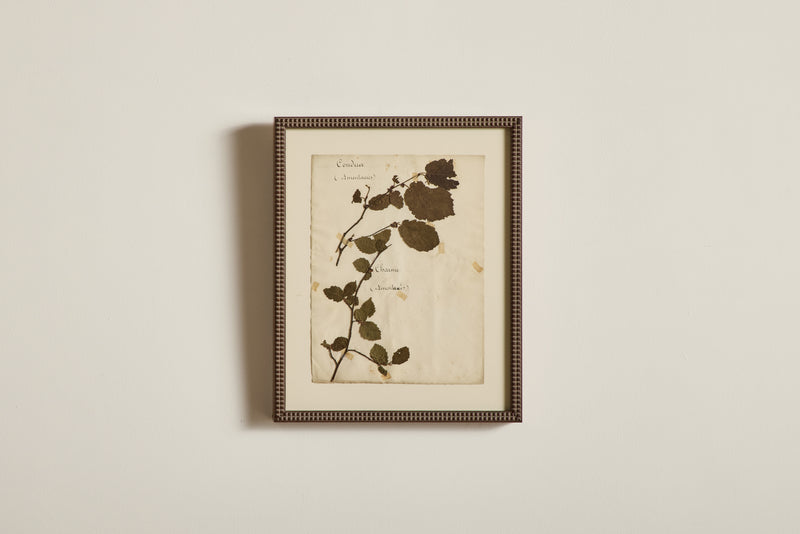 Large Botanical Print No.12
