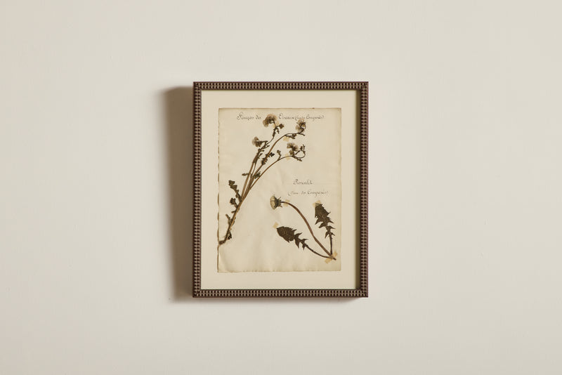 Large Botanical Print No.16