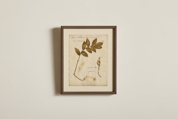 Large Botanical Print No.17