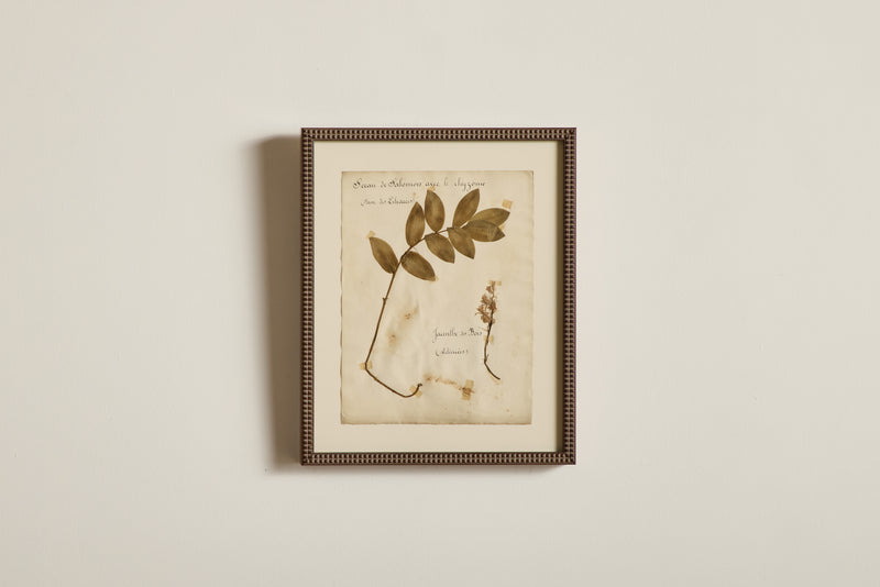 Large Botanical Print No.17