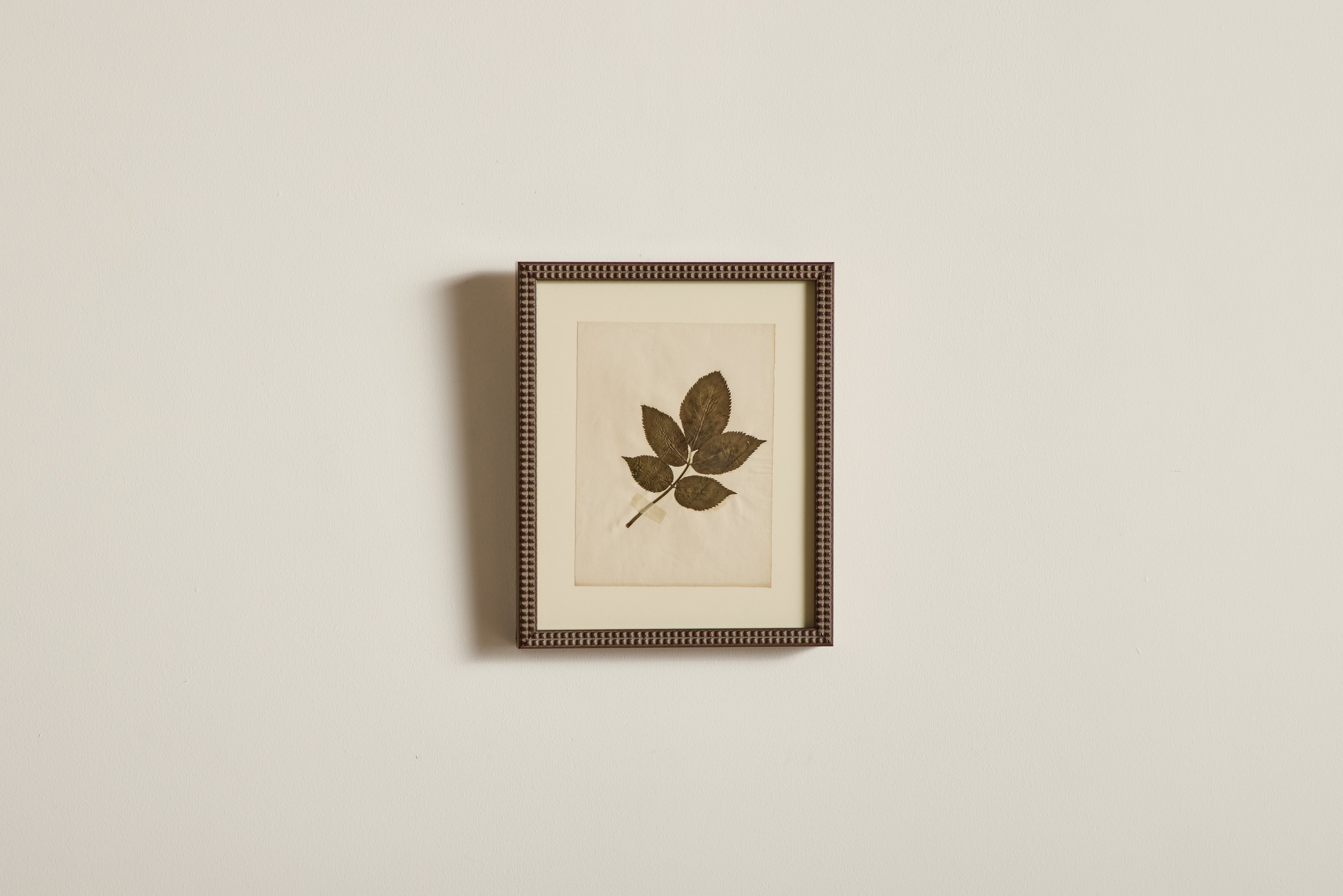Small Botanical Print No.2