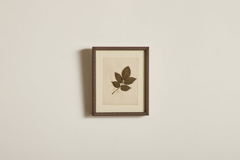 Small Botanical Print No.2