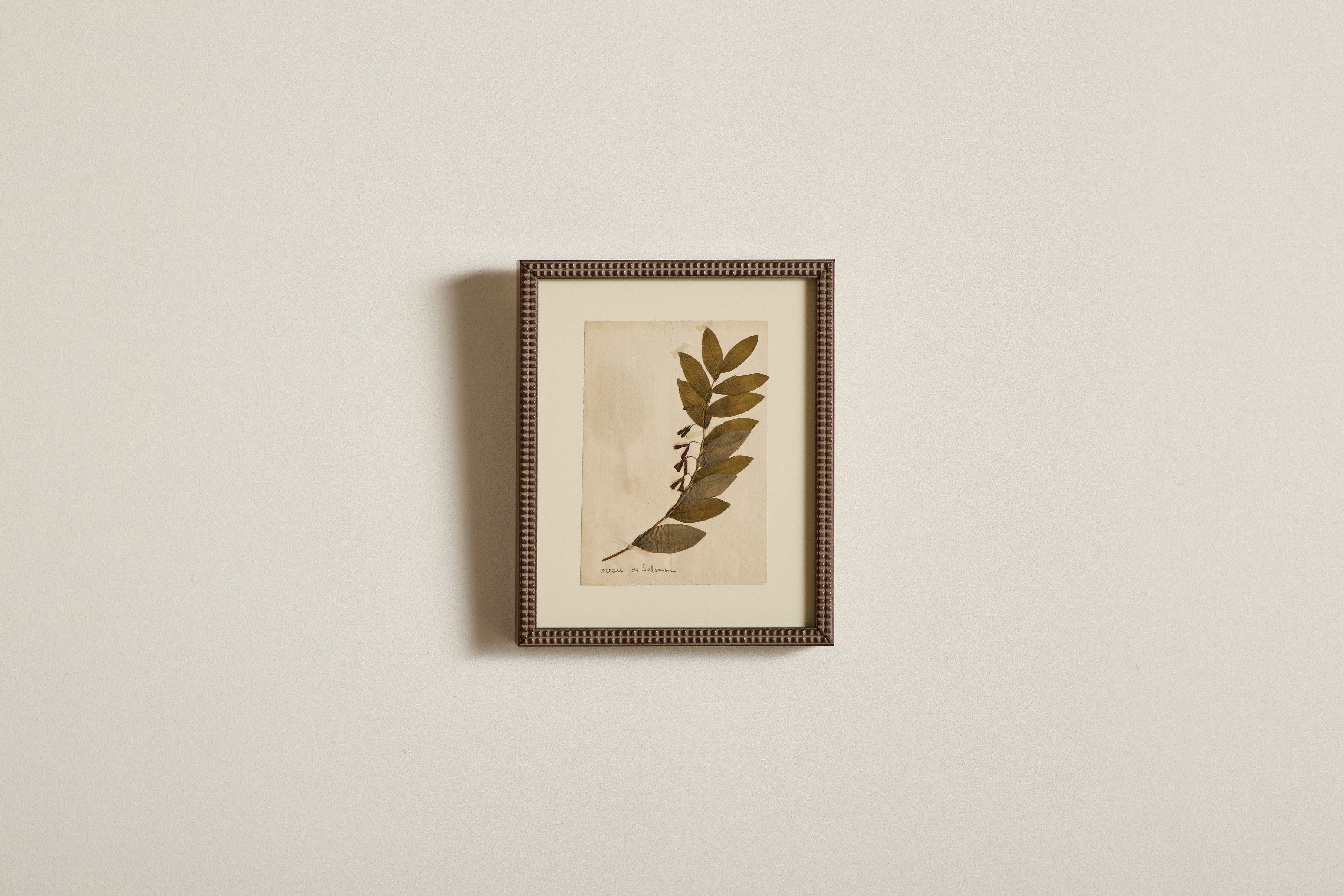 Small Botanical Print No.3