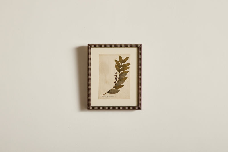Small Botanical Print No.3