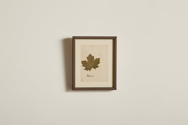 Small Botanical Print No.7