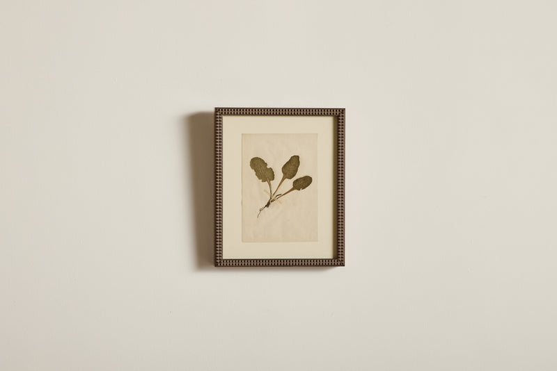 Small Botanical Print No.8