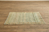 Persian Botanical Rug 5'5 x 6'10