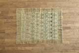 Persian Botanical Rug 5'5 x 6'10
