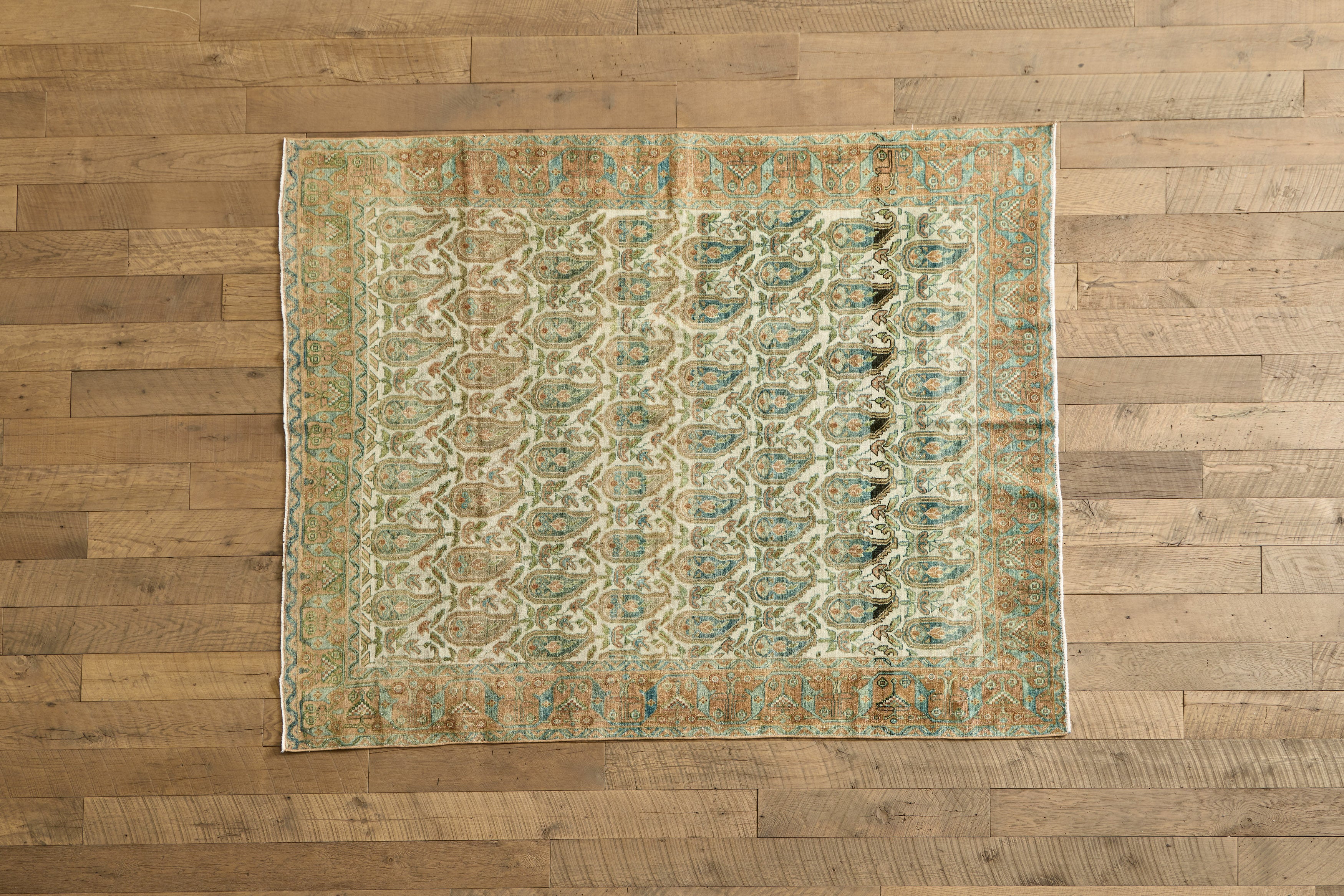 Persian Botanical Rug 5'5 x 6'10