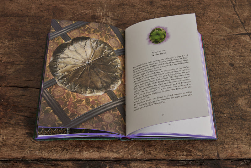The Secret Language of Flowers