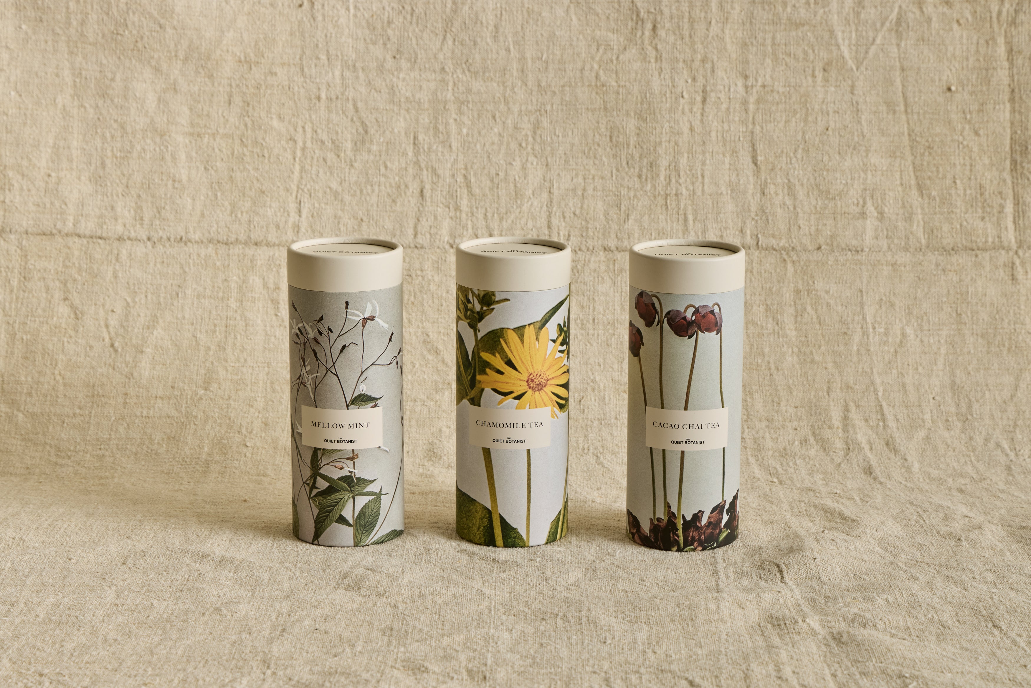 Tea and Steeper Gift Set (Multiple Flavors)