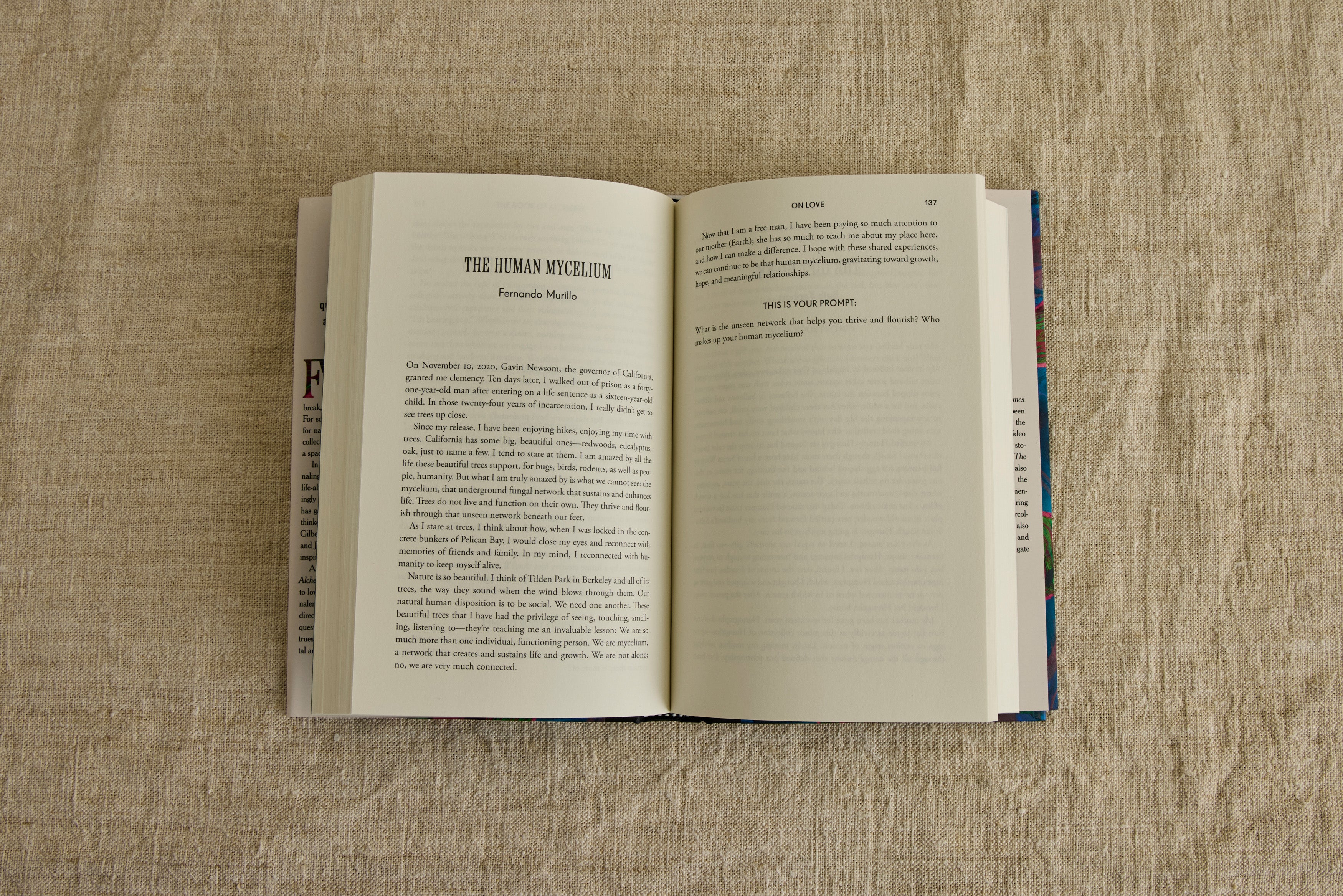 The Book of Alchemy, Suleika Jaouad