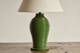 Shown in Fern