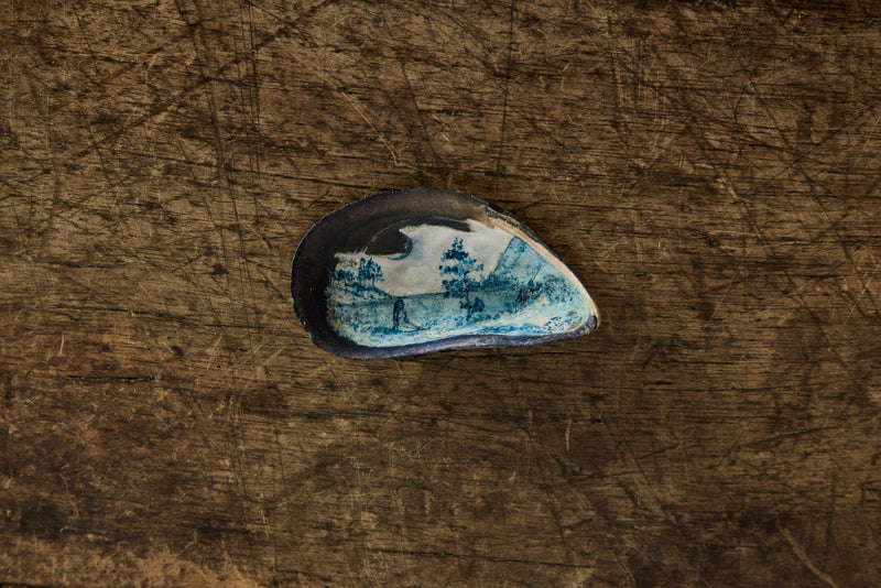 Painted Shell 3