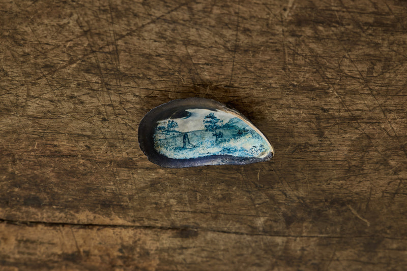 Painted Shell 3