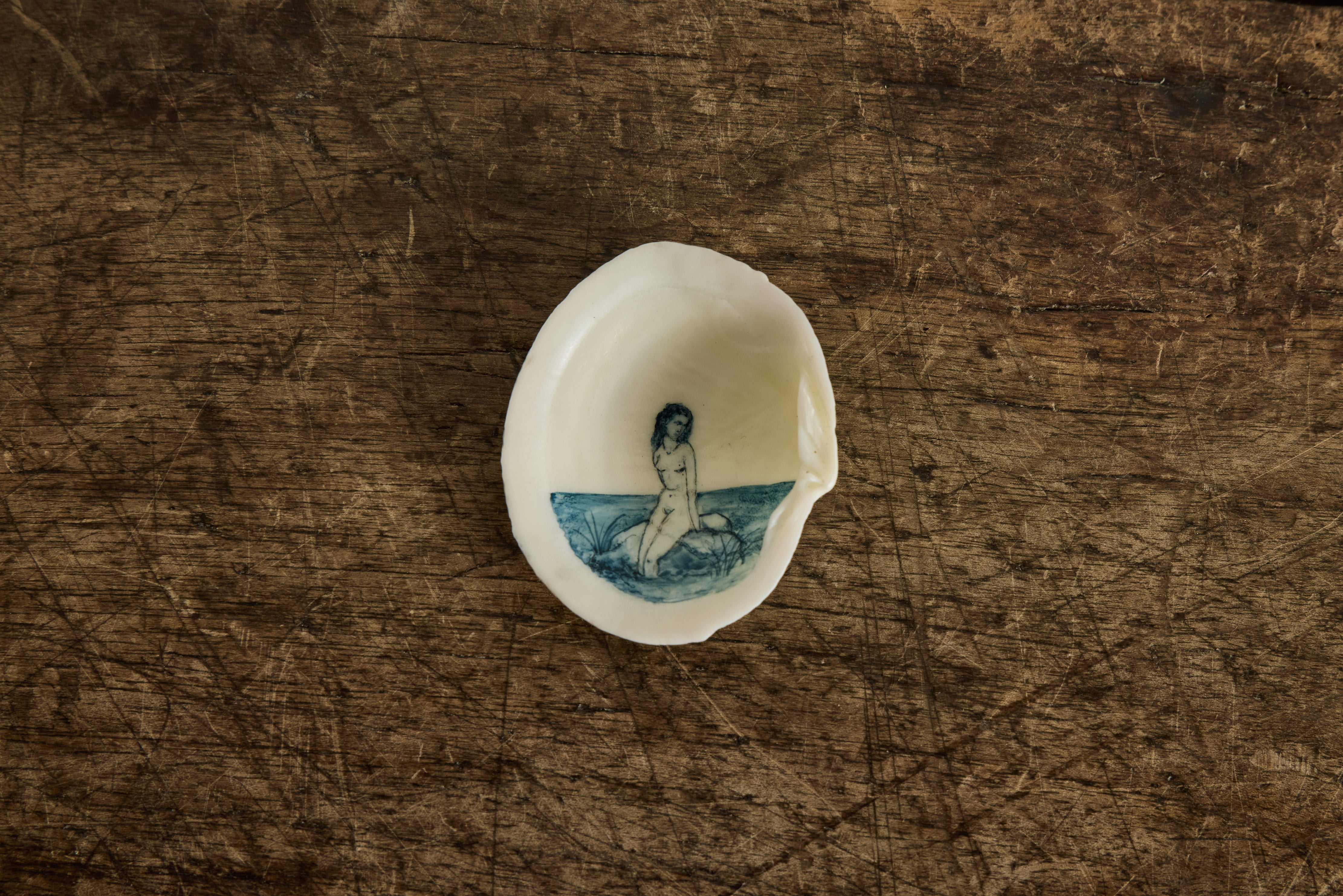 Painted Shell 2
