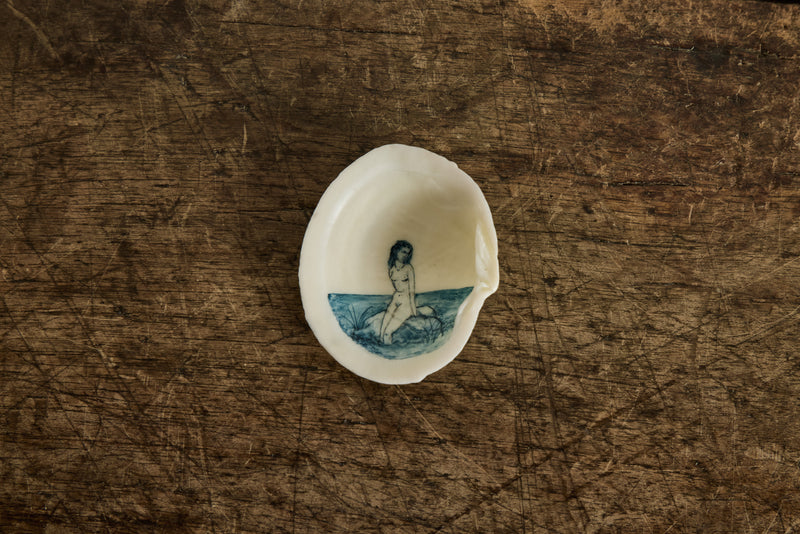 Painted Shell 2