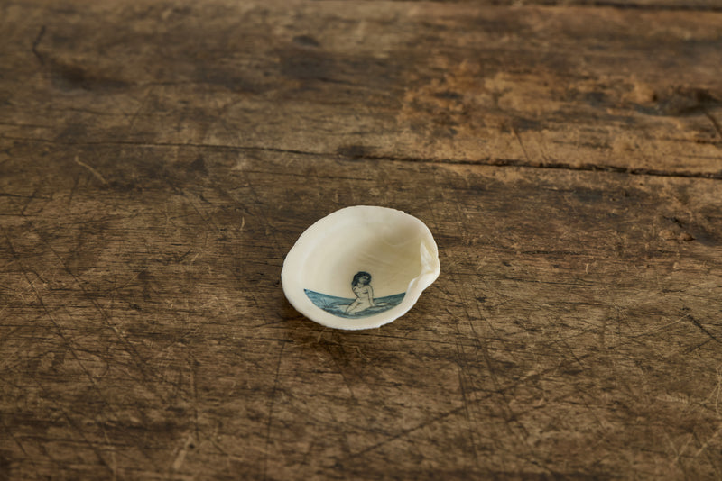 Painted Shell 2