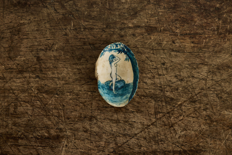Painted Shell 1