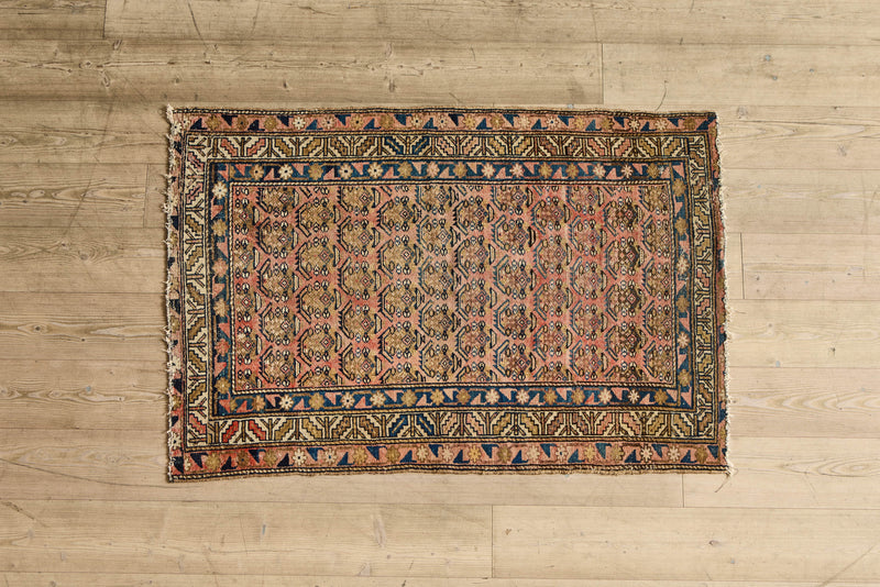 Blush Boteh Throw Rug 3’4 X 4’10