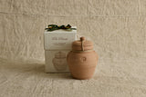 Pot Pourri In Terracotta Jar