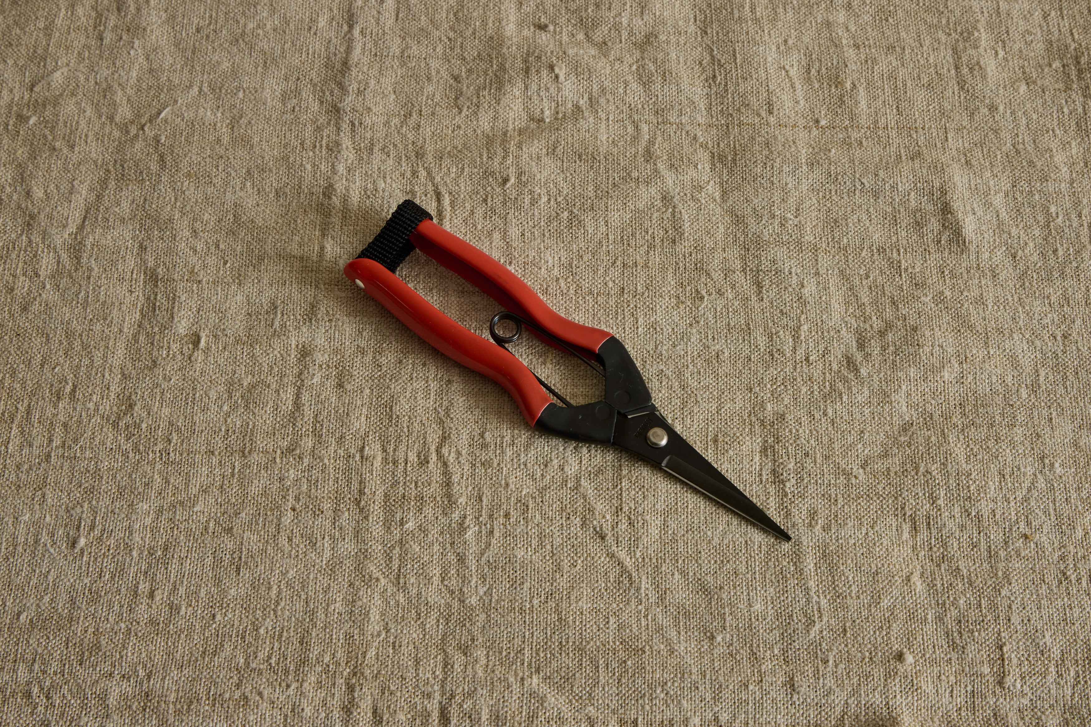 Garden Snips