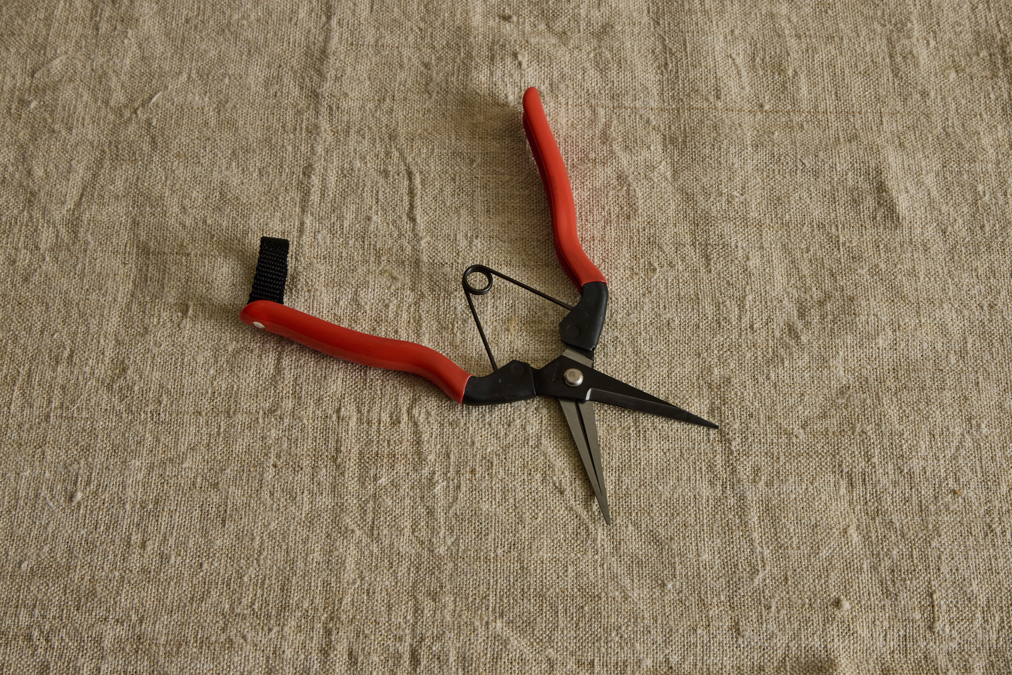 Garden Snips