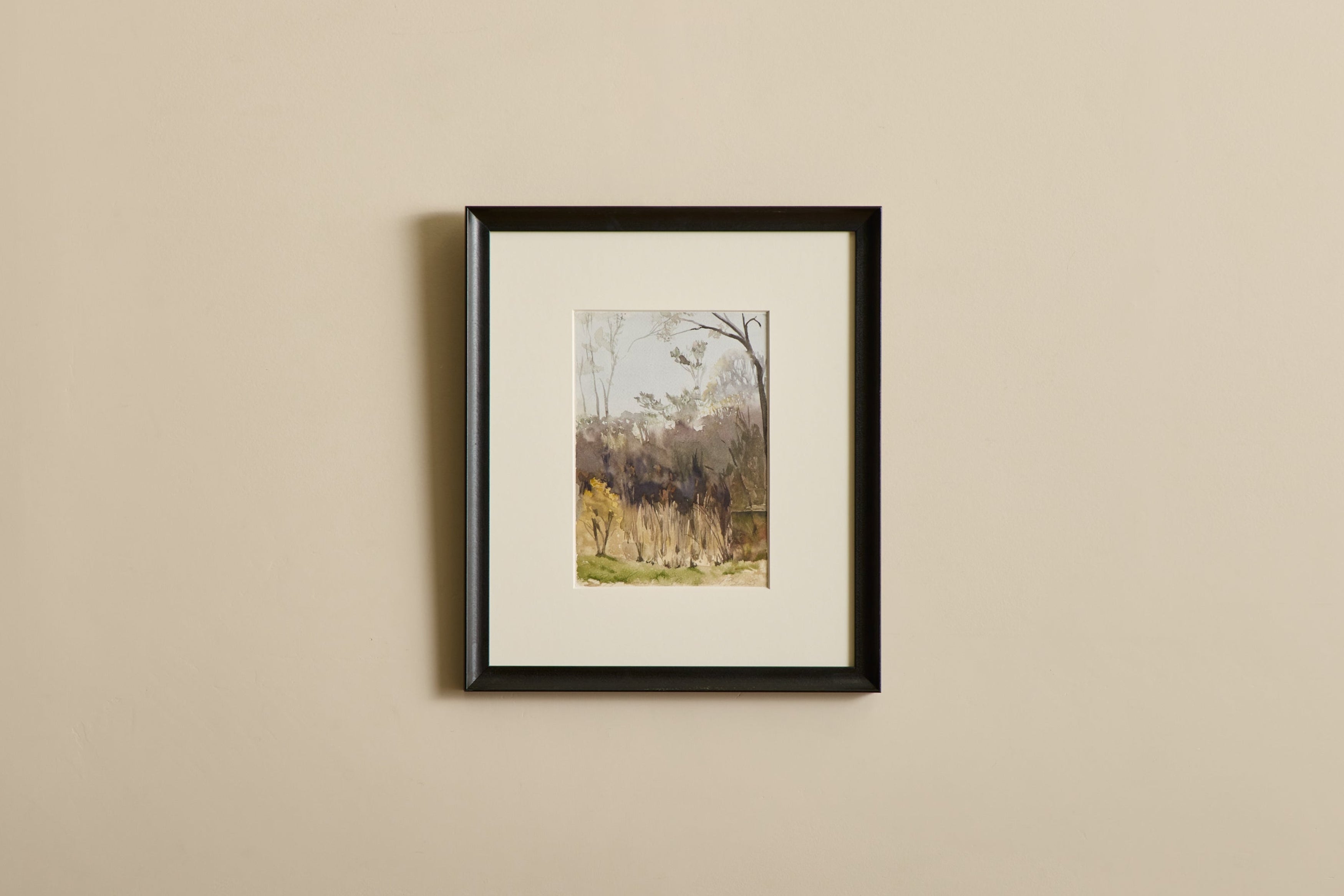 Study of Reeds