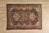 Colorful Shiraz Rug 6’9 X 9’