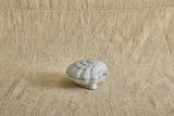 Coquillage Box