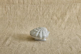Coquillage Box