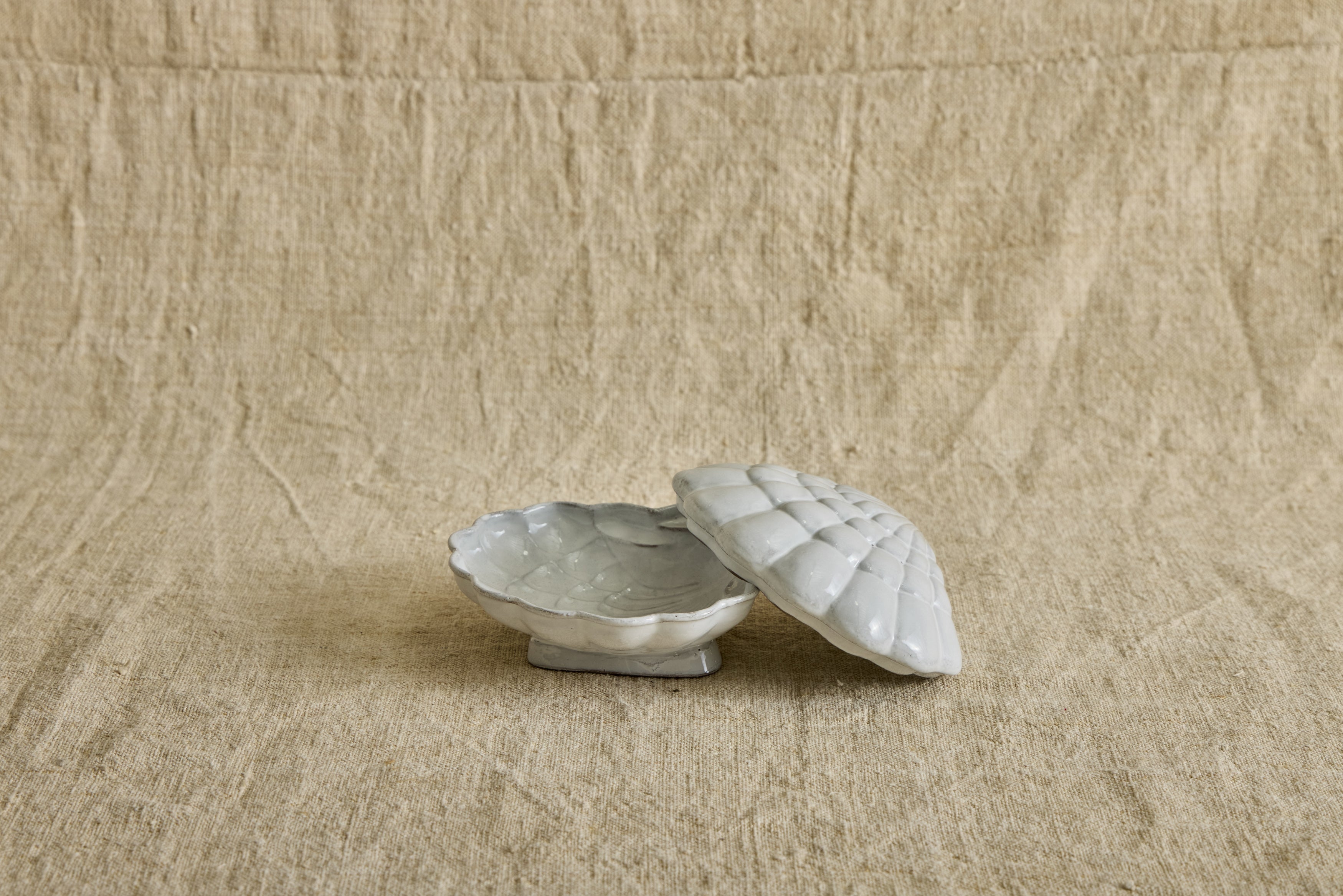 Coquillage Box