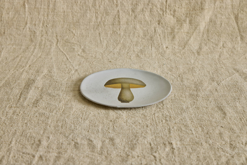 Medium Bolert Blanchatre Plate