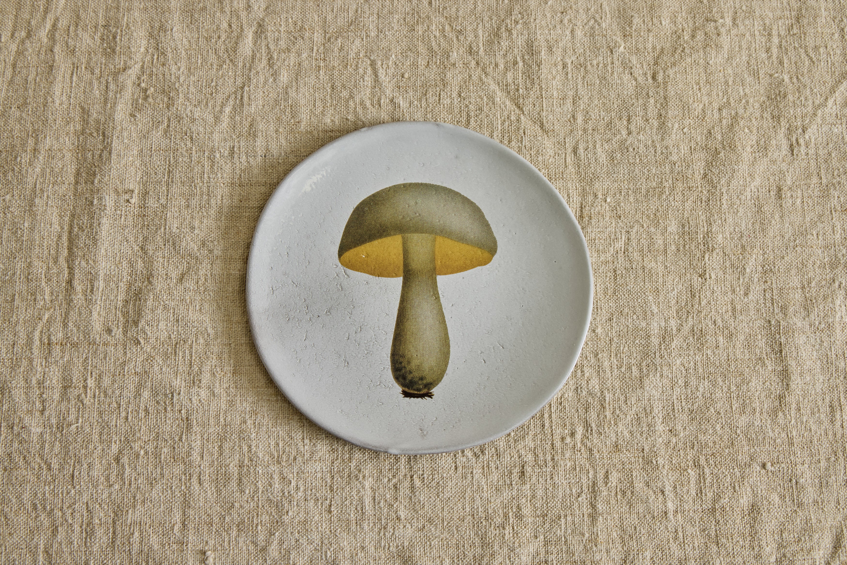 Medium Bolert Blanchatre Plate