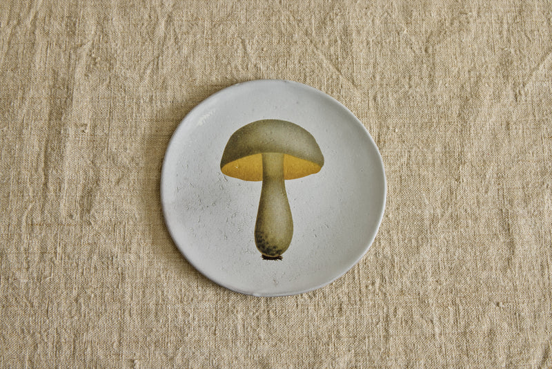 Medium Bolert Blanchatre Plate