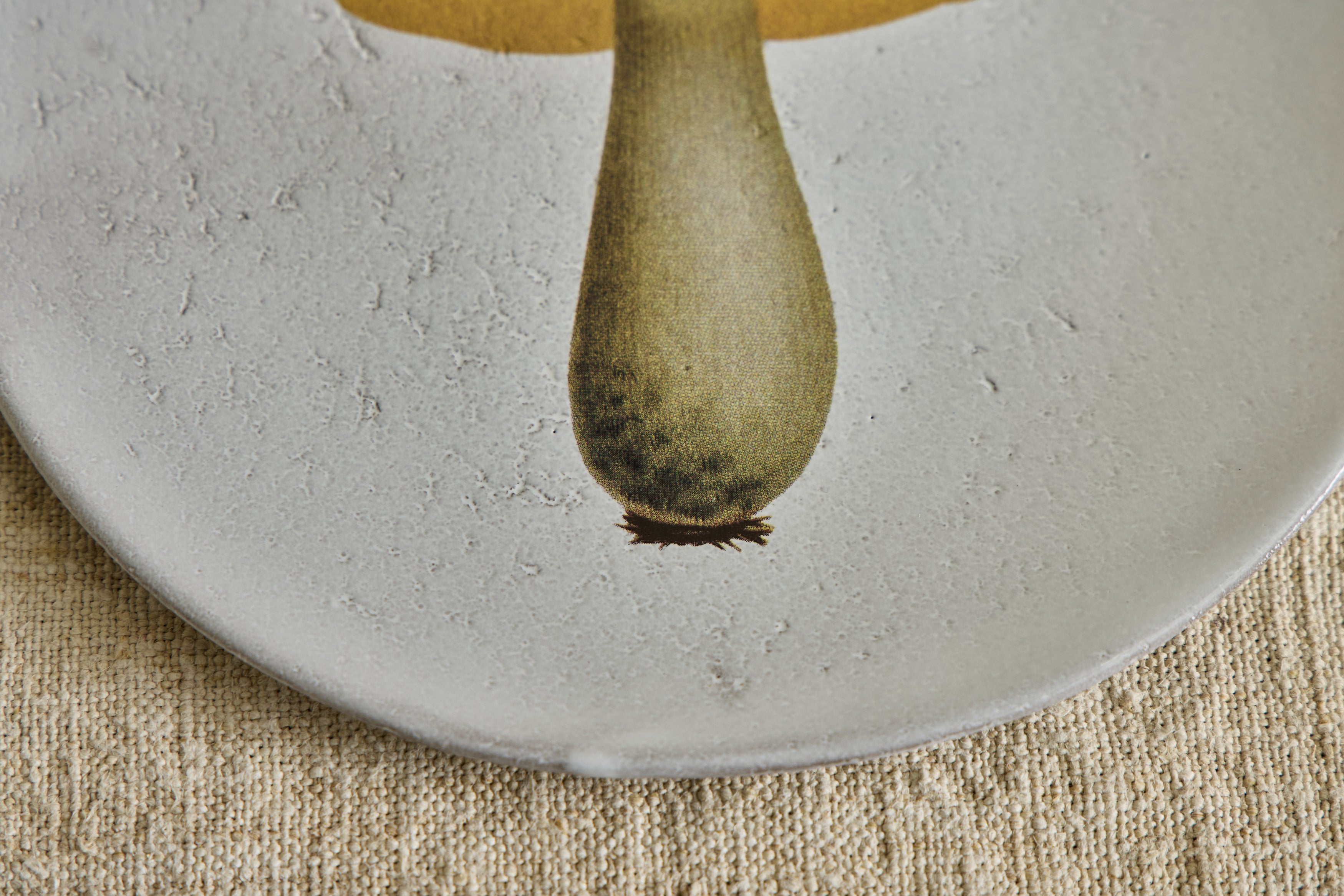 Medium Bolert Blanchatre Plate