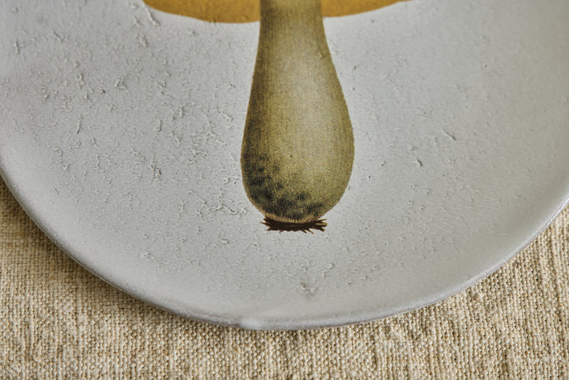 Medium Bolert Blanchatre Plate