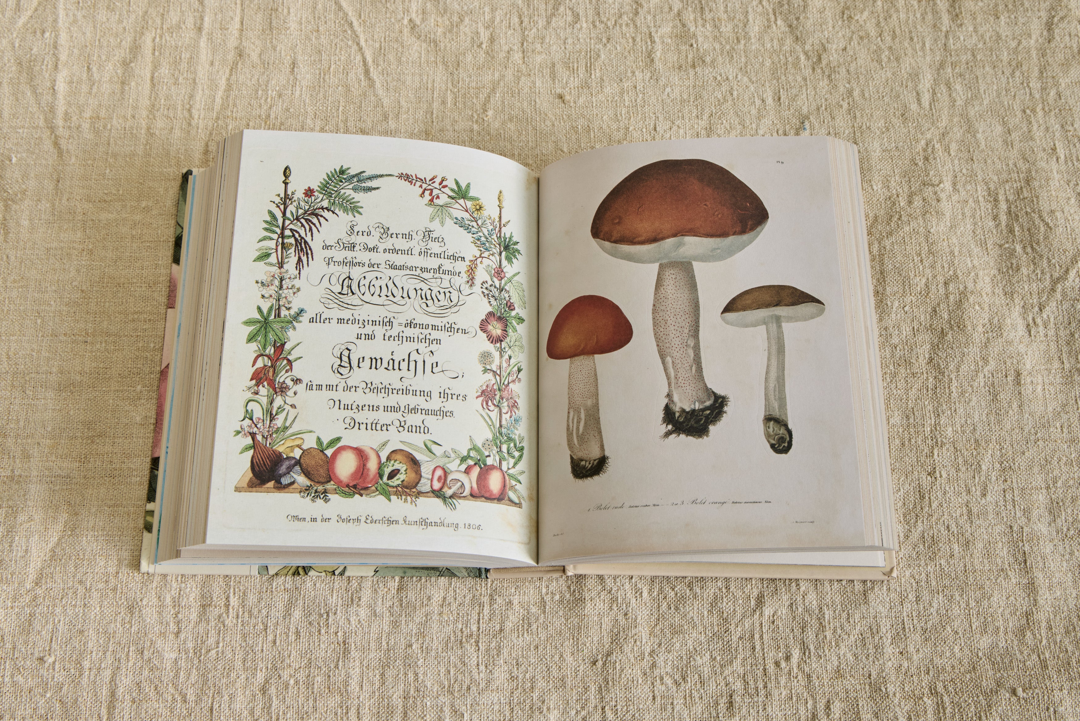 John Derian Sticker Book II