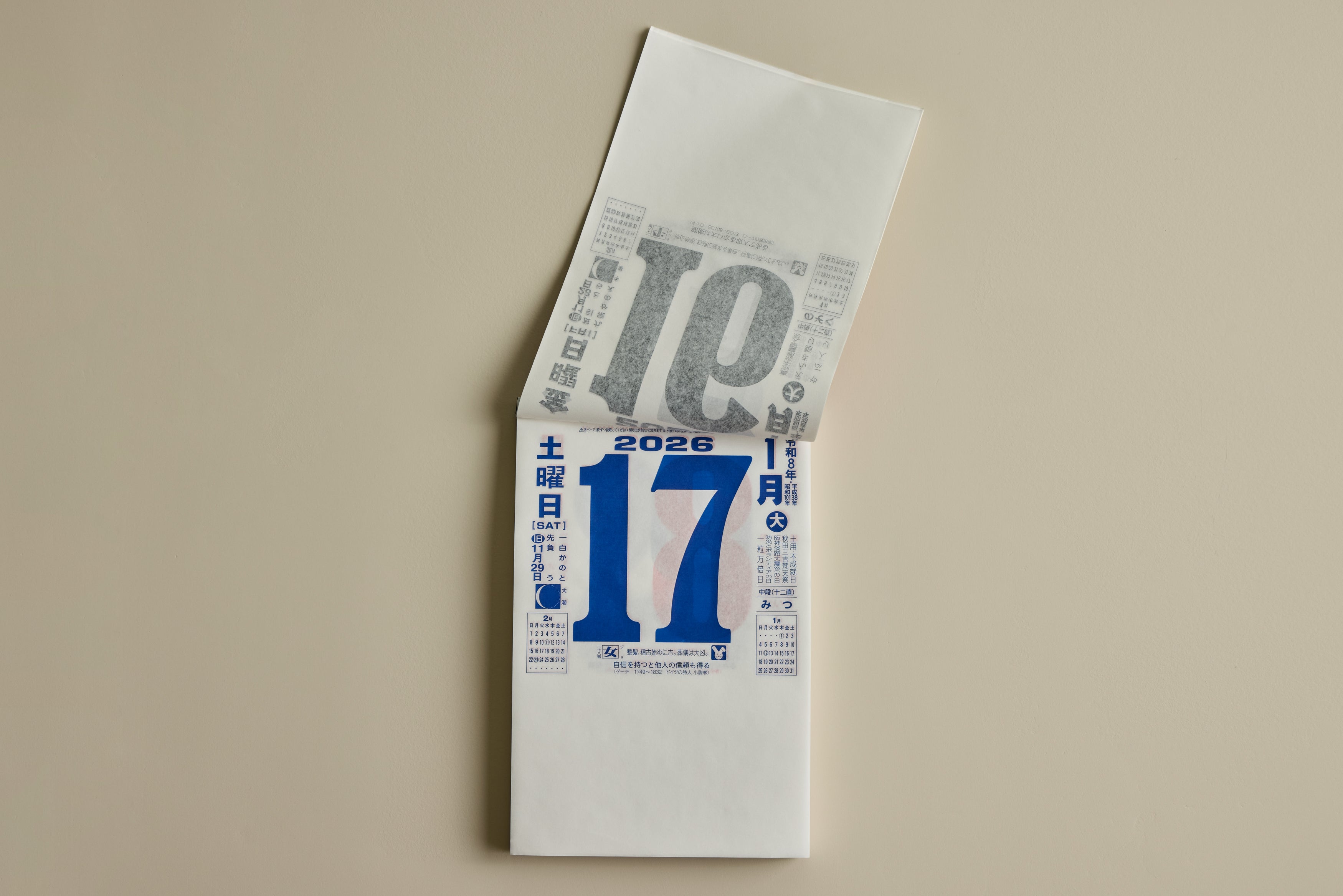 Japanese Daily Wall Calendar 2026 (Multiple Sizes)
