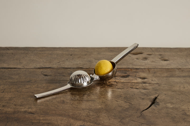 Stainless Steel Citrus Juicer