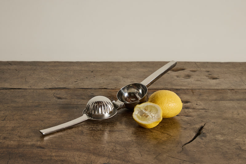 Stainless Steel Citrus Juicer