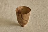 Crucible Vessel