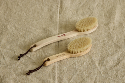 BODY BRUSH (MULTIPLE STYLES)