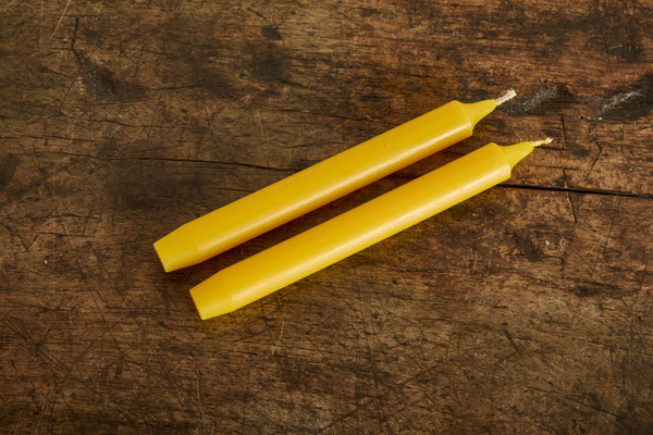 Box of 6 Madeleine Tapers In Yellow