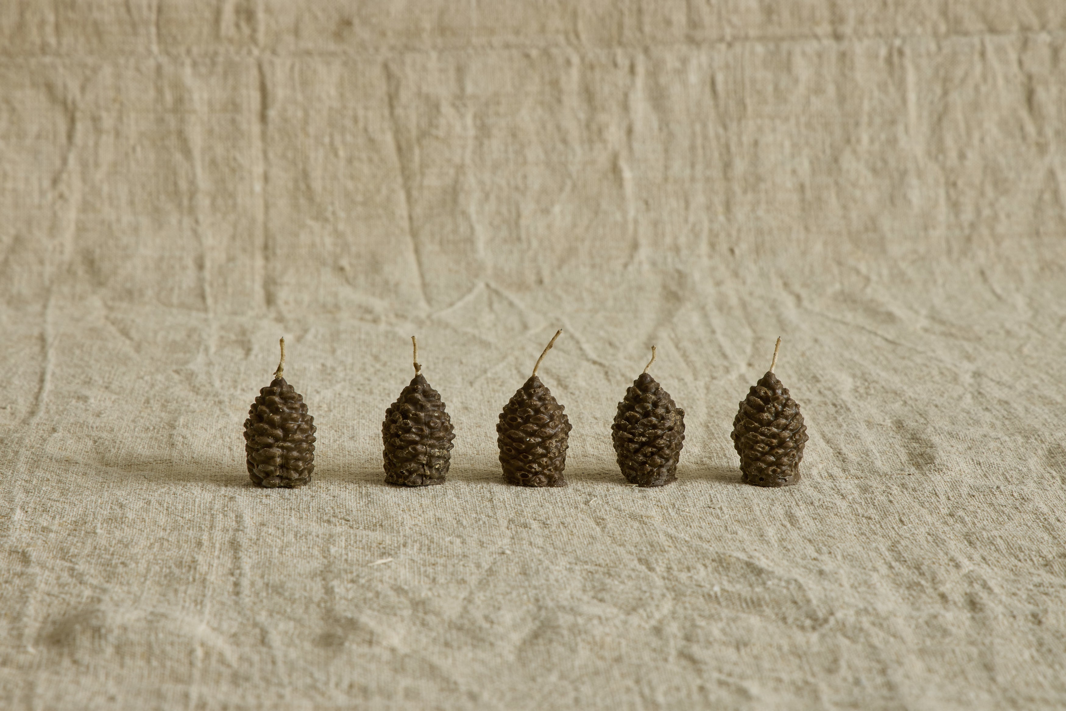 Firestarter Pinecones