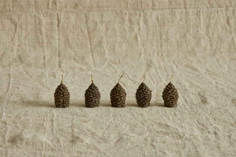 Firestarter Pinecones