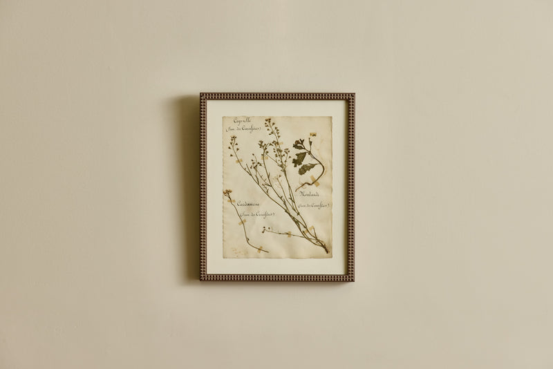 Large Botanical Print No. 26