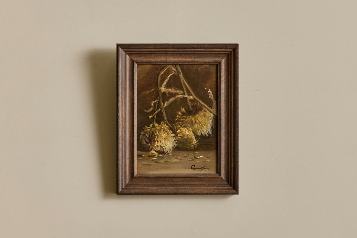 Dried Cynara Cardunculus