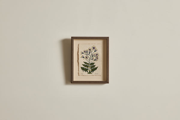 Botanical No.2