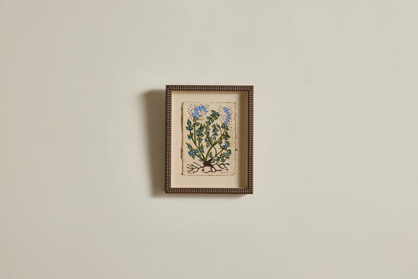 Botanical No.6